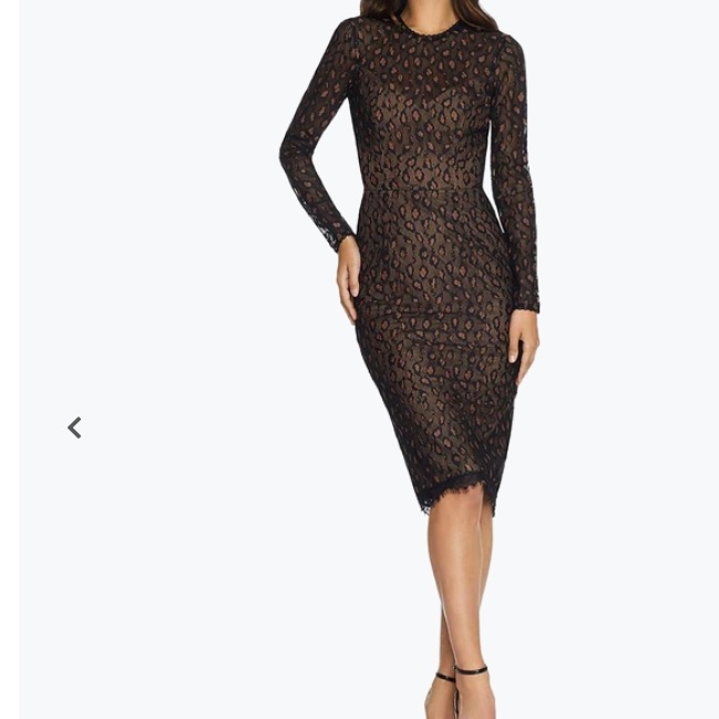 Nwt Dress The Population Kay Long Sleeve Sheath